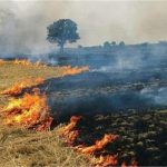 Land of 6 farmers of Punjab registered in red entry, know why