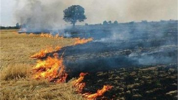 Land of 6 farmers of Punjab registered in red entry, know why